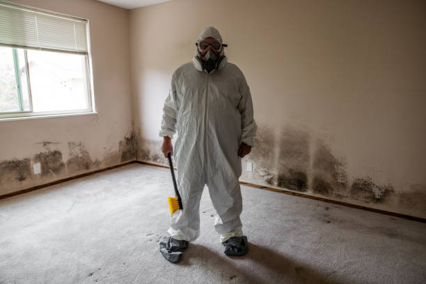 Best Commercial Mold Inspection  in USA